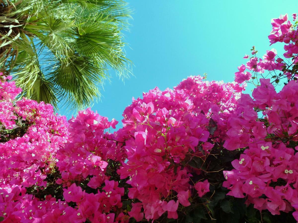 Bougainvillea Suites Kamári Exteriér fotografie