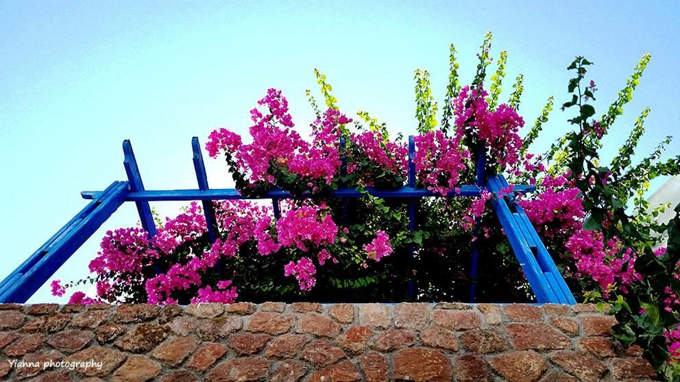 Bougainvillea Suites Kamári Exteriér fotografie